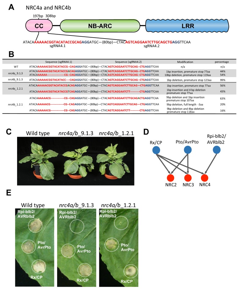 Figure 2—figure supplement 1.