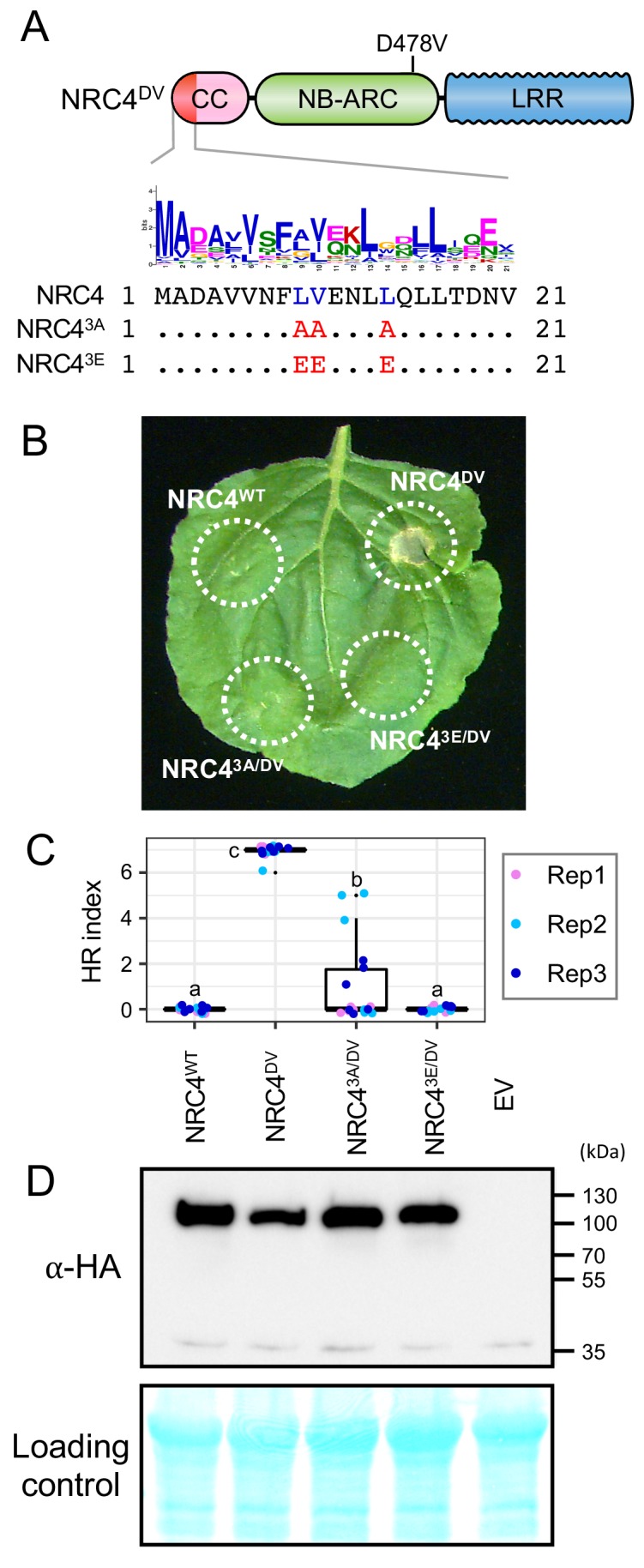 Figure 7.