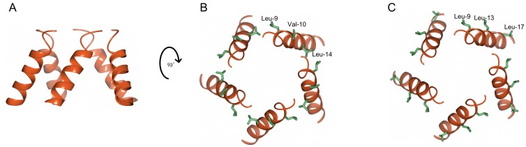 Figure 8—figure supplement 2.