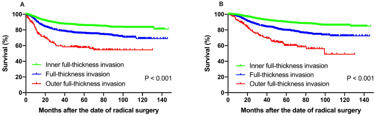 The clinical and prognostic implication of deep stromal invasion in ...