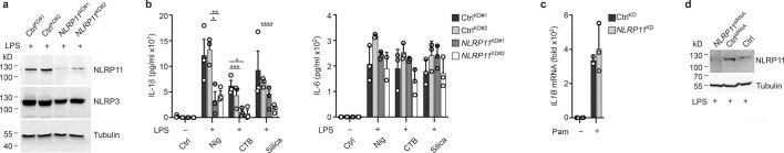 Extended Data Fig. 1