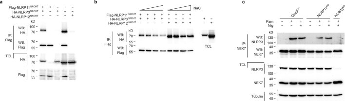 Extended Data Fig. 7