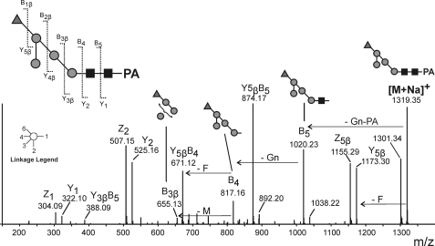 FIGURE 3.