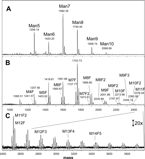 FIGURE 1.