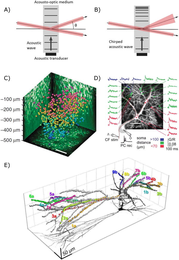 Fig. 3