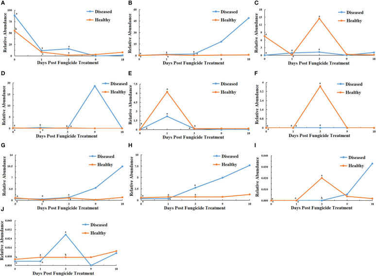 Figure 6