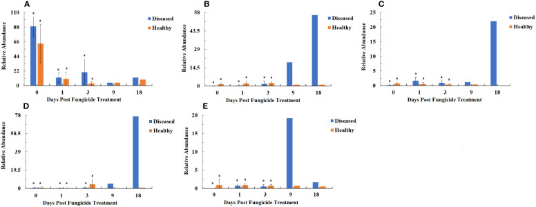 Figure 11