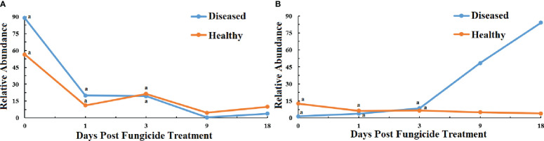 Figure 5