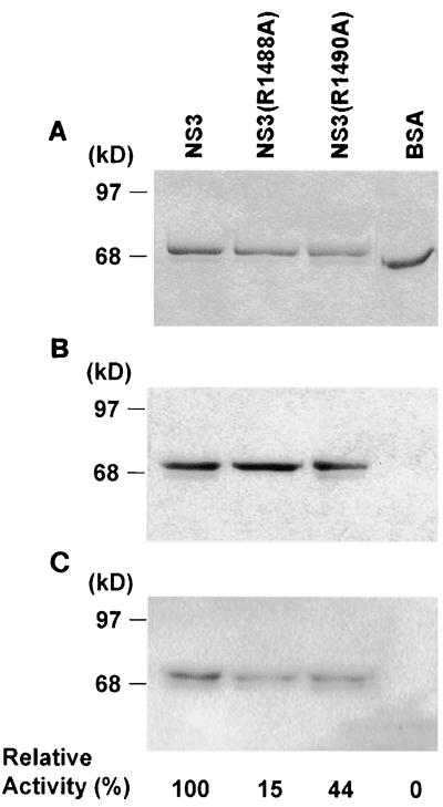 FIG. 6