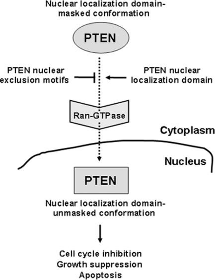 Figure 11.