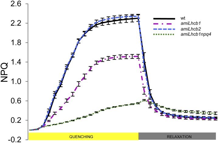 Figure 8.