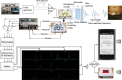 Graphical Abstract