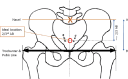 Fig. 12