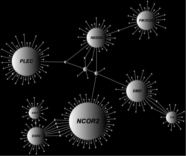 Fig. 4