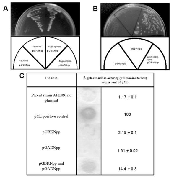 Fig.2