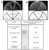 Fig.2