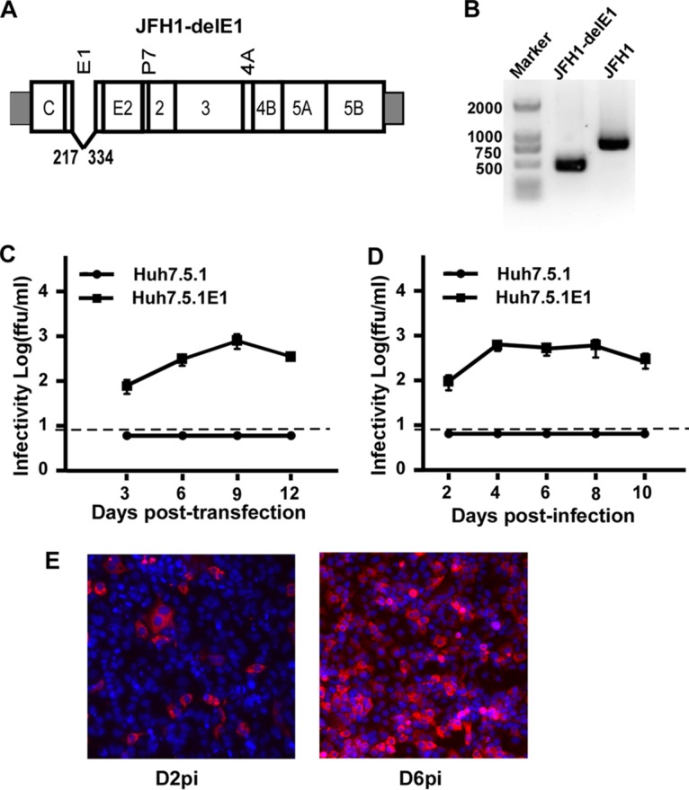 FIG 1