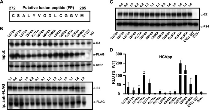 FIG 6