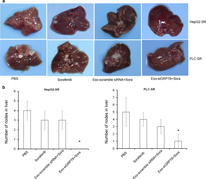 Fig. 6