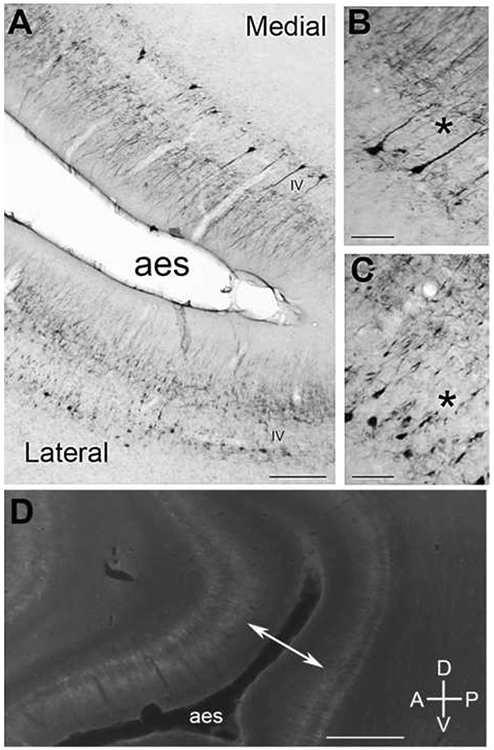 Figure 13.