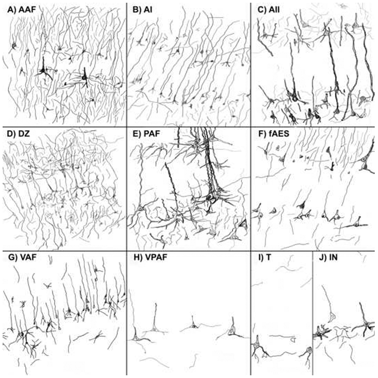 Figure 15.