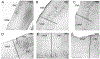 Figure 11.