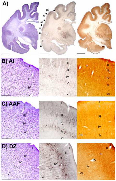 Figure 16.