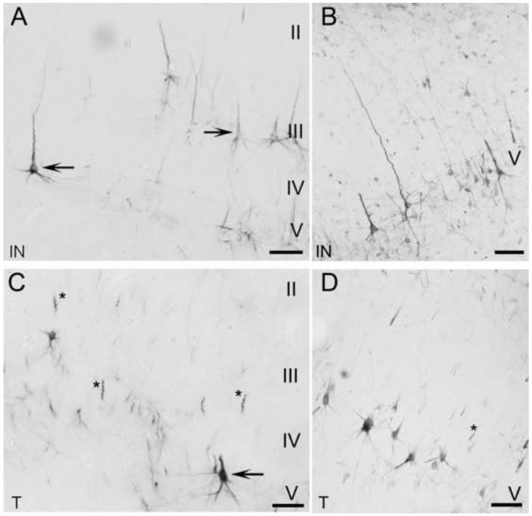 Figure 12.