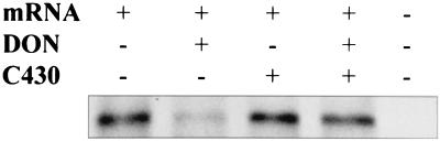 FIG. 7