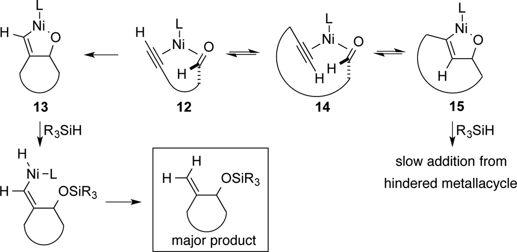 Scheme 5