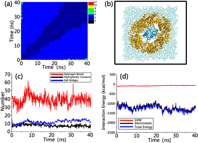 Figure 7