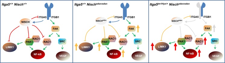 Fig 8