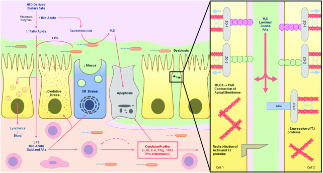 FIGURE 3