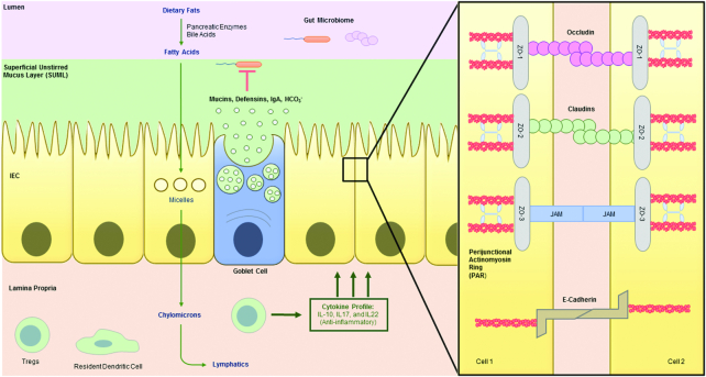 FIGURE 2