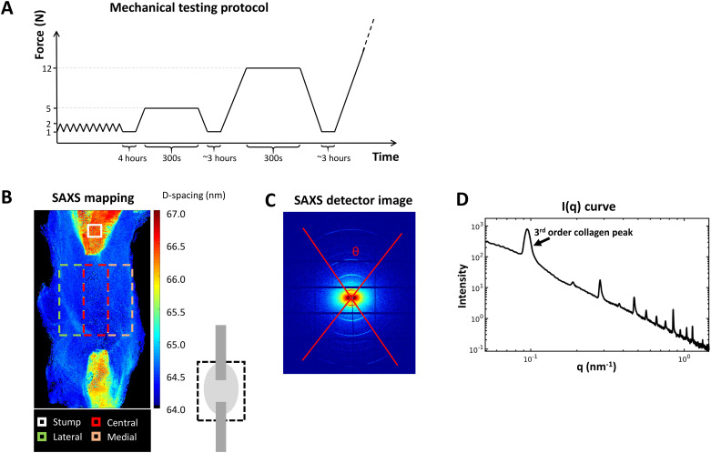 Fig 2