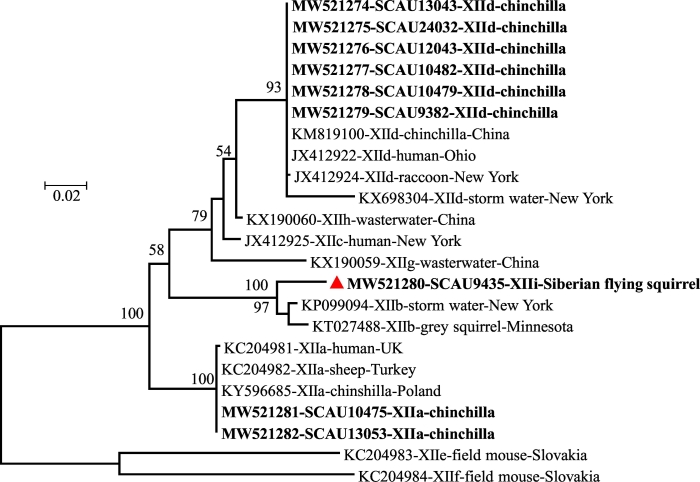 Fig. 3