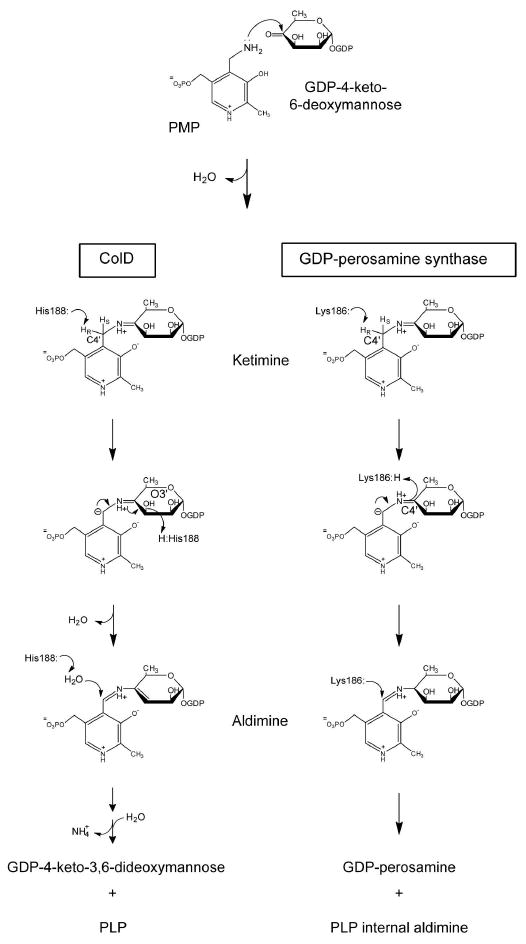 Scheme 2