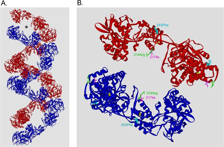 FIG 8