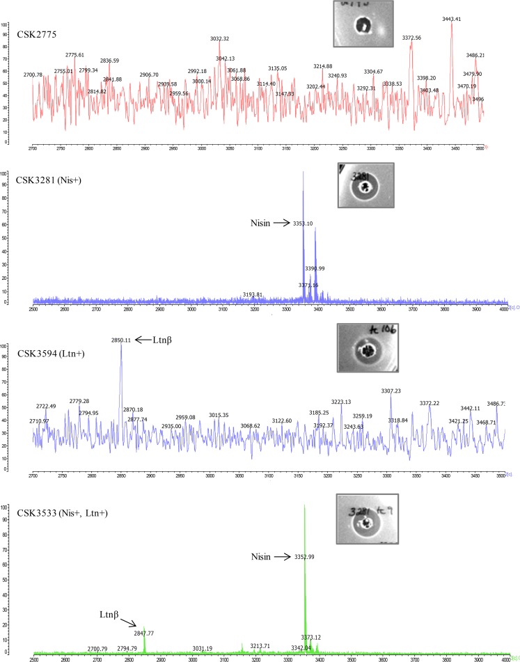 FIG 2