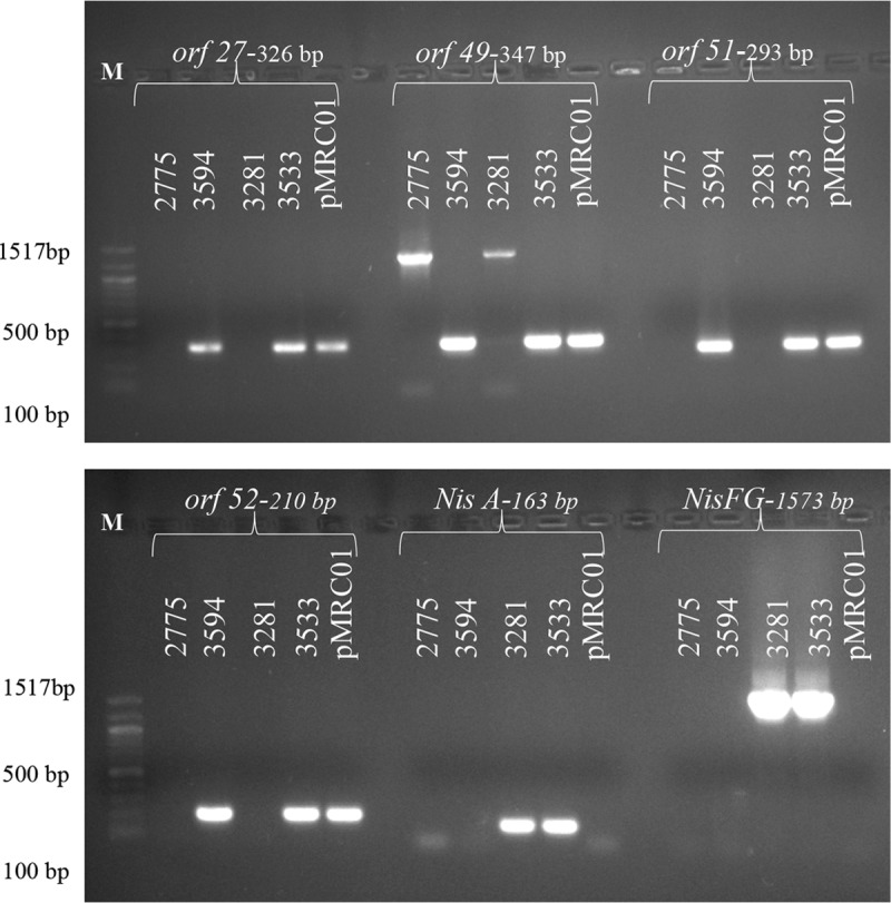 FIG 1