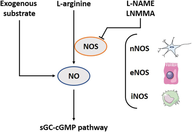 FIGURE 1