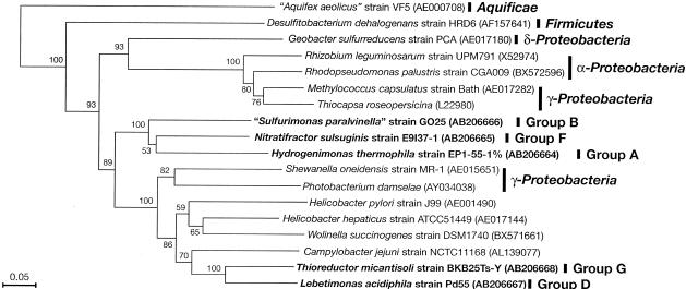 FIG. 4.