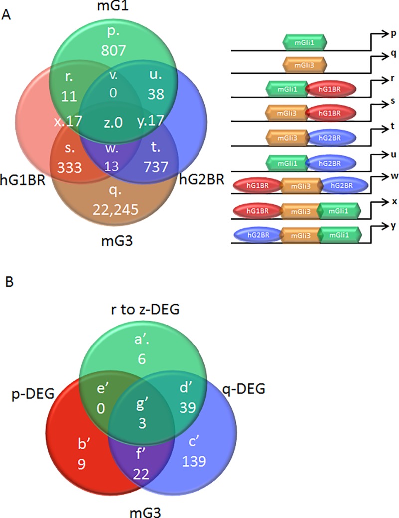 Fig 5