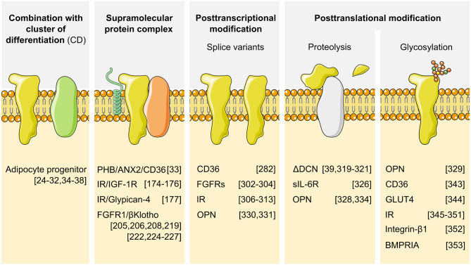 Figure 3.