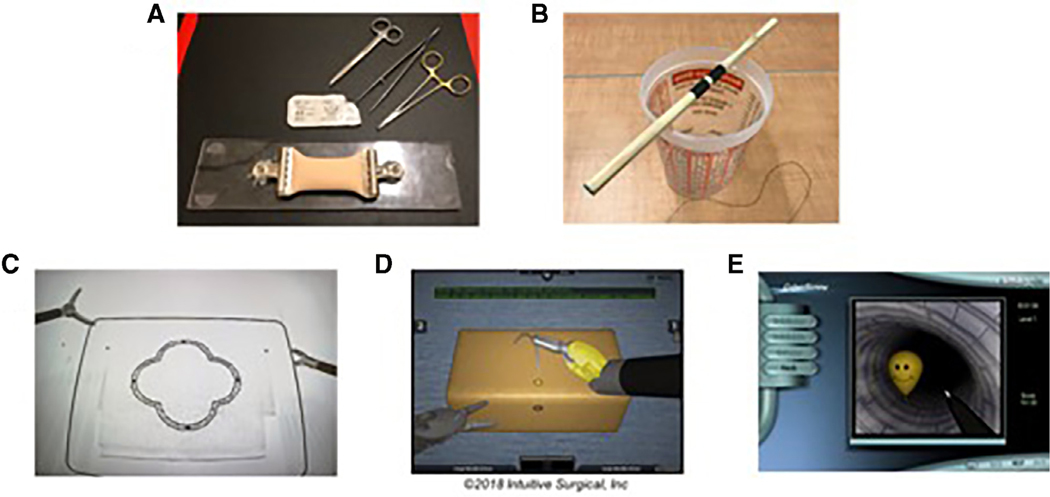 FIGURE 1.