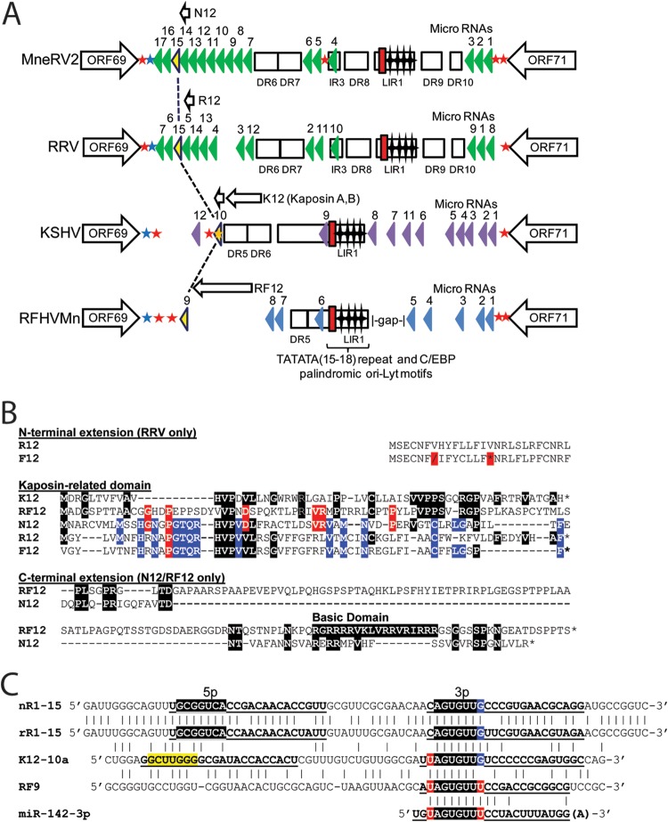 FIG 10