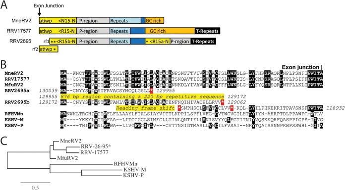 FIG 3