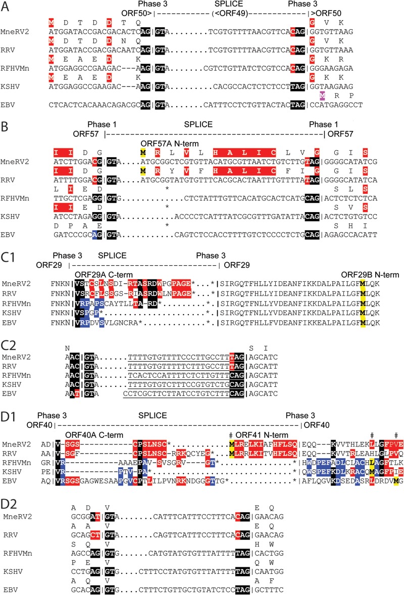 FIG 6