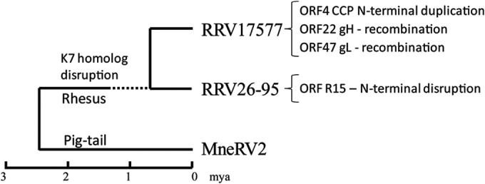 FIG 12