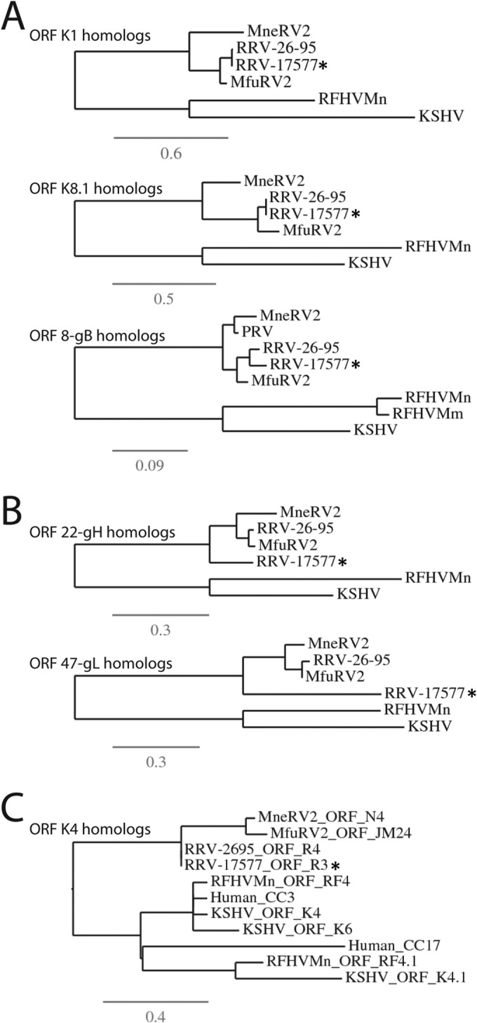 FIG 11